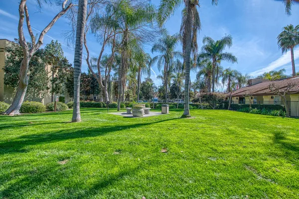 a view of a park with palm trees