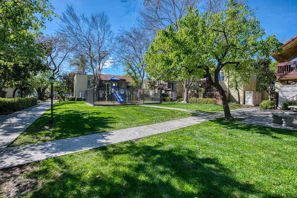 a view of a park with large trees