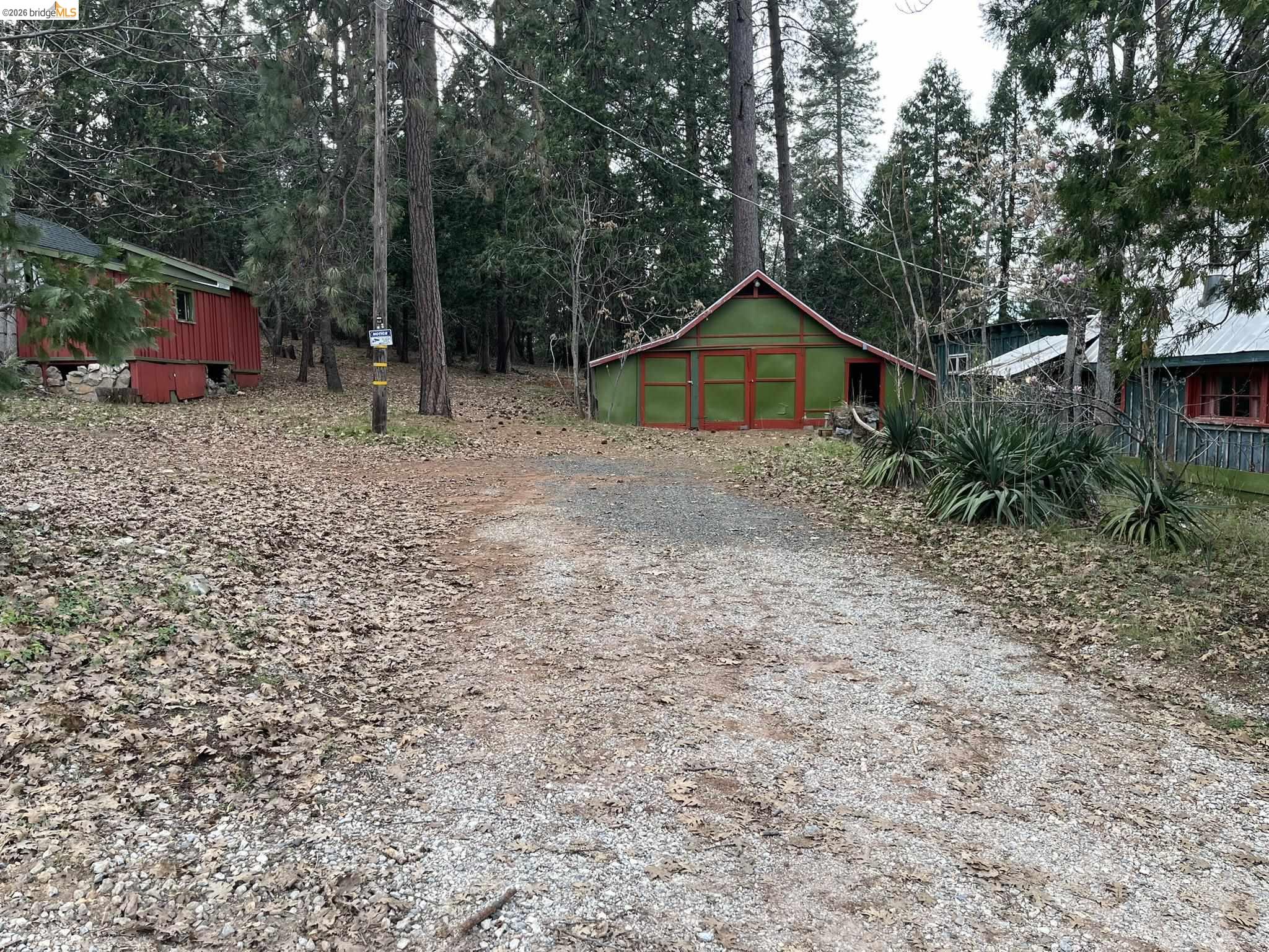 23090 North Bald Mountain Road Sonora, CA 95370 - Photo 2 of 59 a small garden covered with tall trees