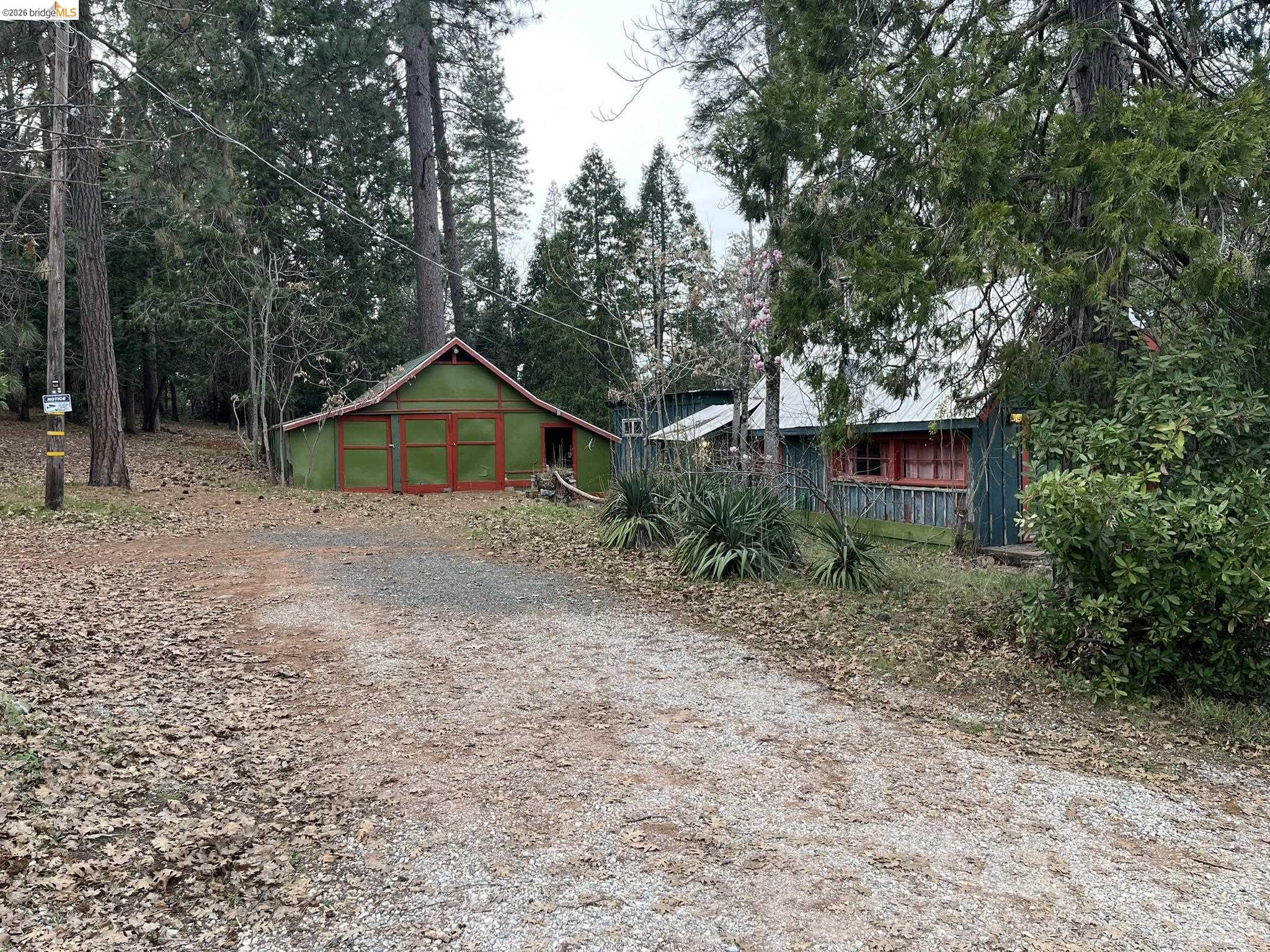 23090 North Bald Mountain Road Sonora, CA 95370 - Photo 3 of 59 a backyard of a house with plants and large trees