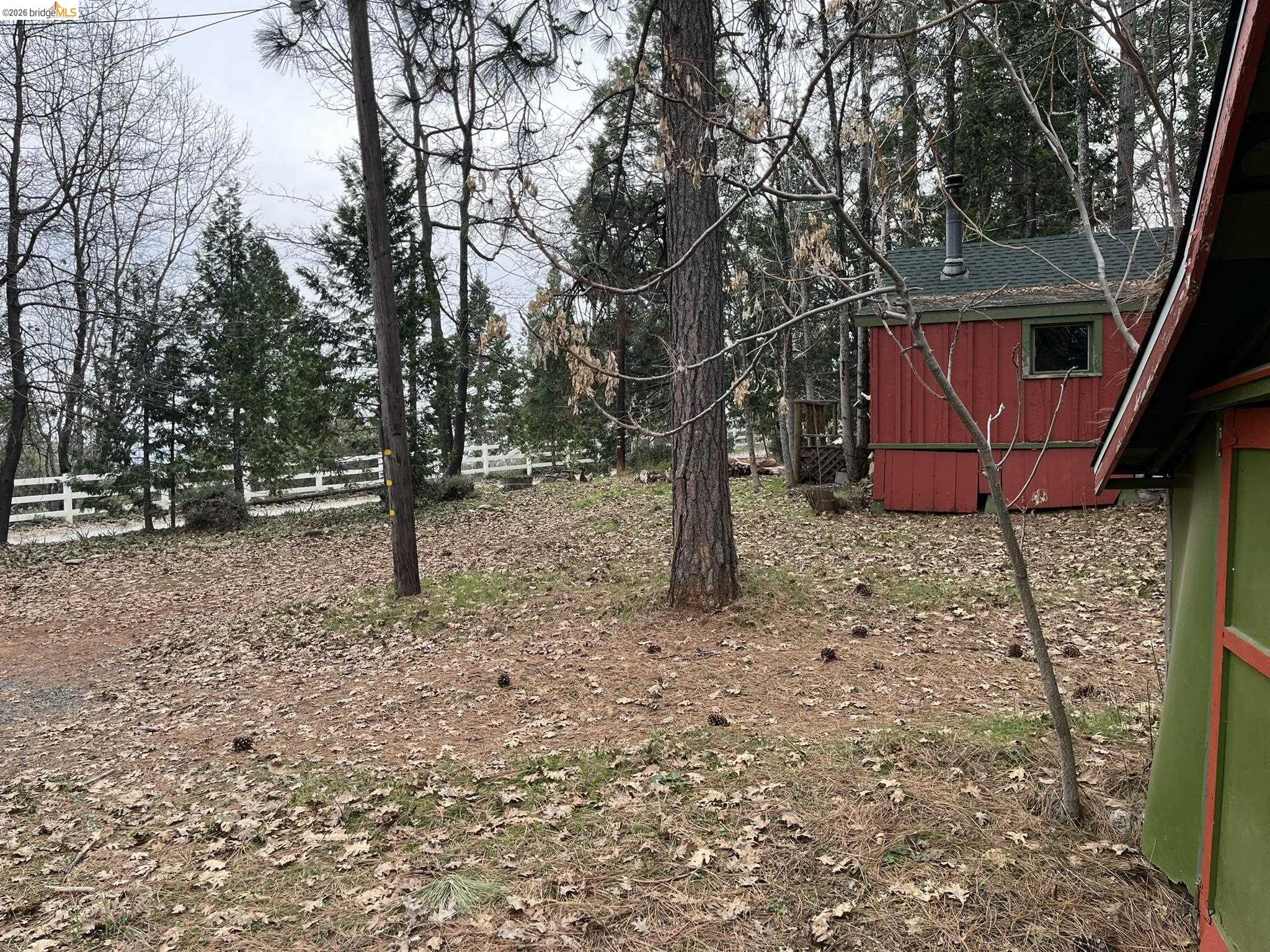 23090 North Bald Mountain Road Sonora, CA 95370 - Photo 53 of 59 a view of a yard with a tree