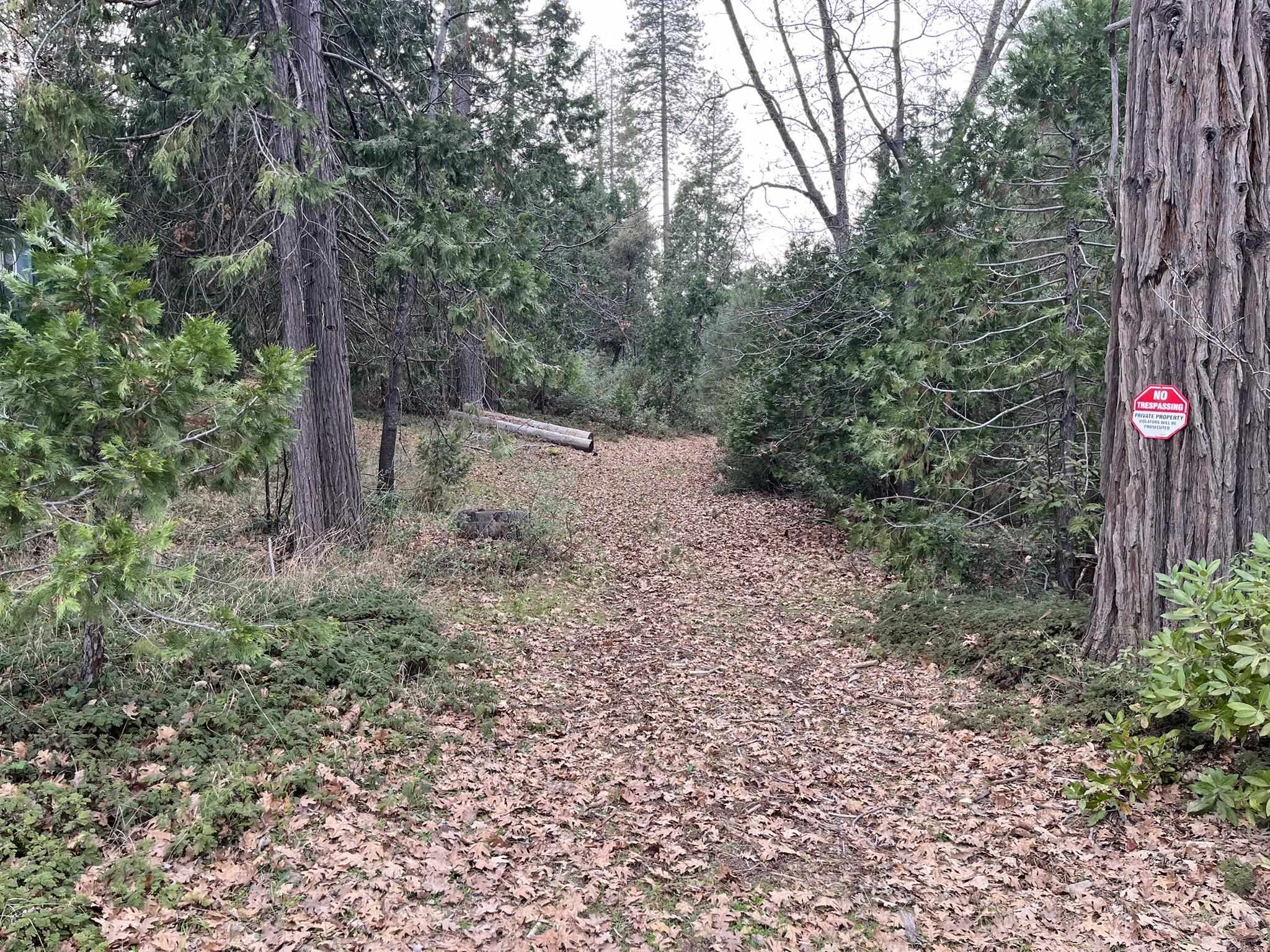 23090 North Bald Mountain Road Sonora, CA 95370 - Photo 57 of 59 View of undeveloped land