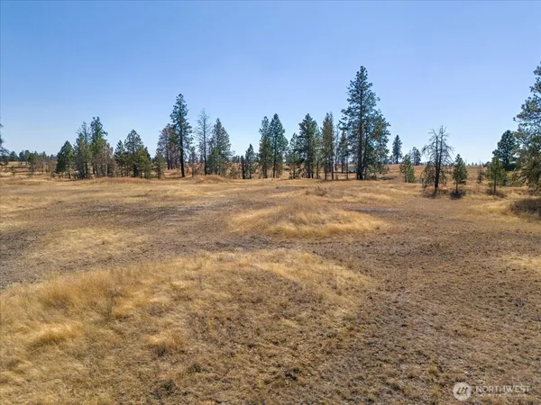 a view of dirt field with trees in the background