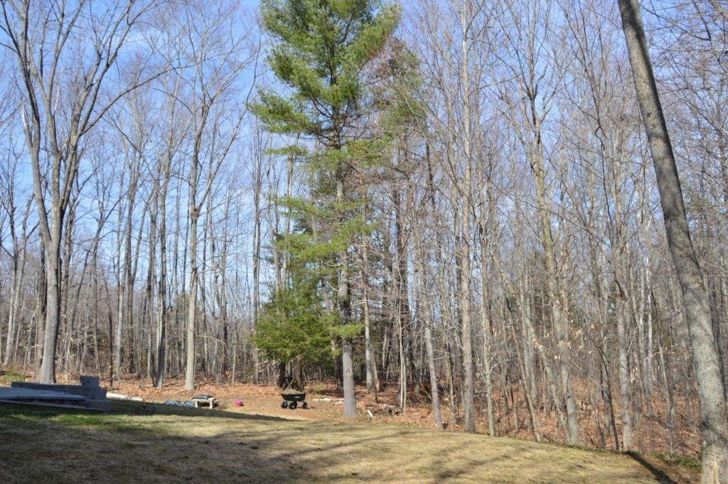 29 North Reynolds Road Winslow, ME 04901 - Photo 22 of 22 Photo