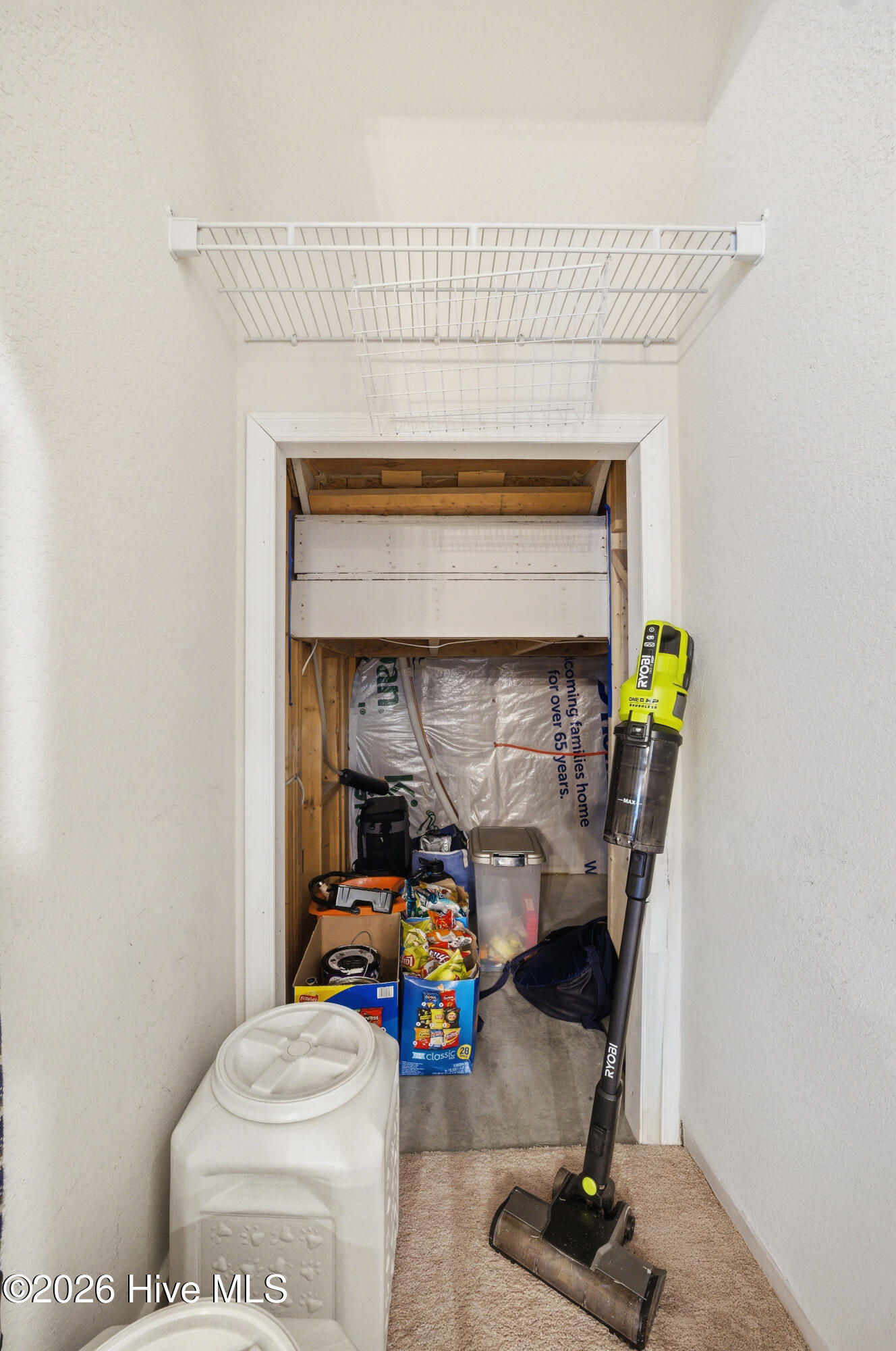 409 Green Lake Road Moyock, NC 27958 - Photo 31 of 53 Downstairs closet gutted out for more storage under the stairs
