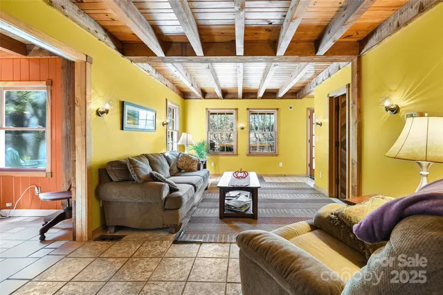 a view of a yard with plants