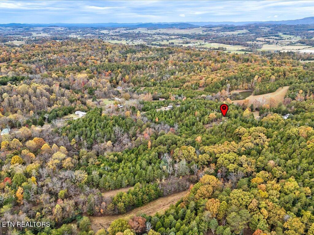 359 Buzzard Roost Road Bulls Gap, TN 37711 - Photo 12 of 30 359 Buzzard Roost Rd - 13
