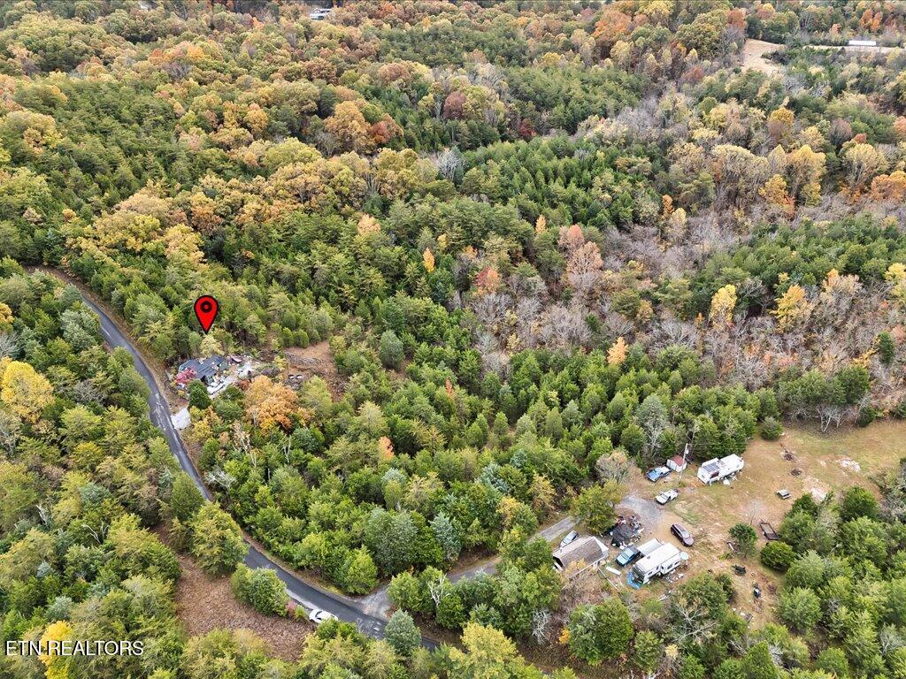 359 Buzzard Roost Road Bulls Gap, TN 37711 - Photo 5 of 30 359 Buzzard Roost Rd - 6