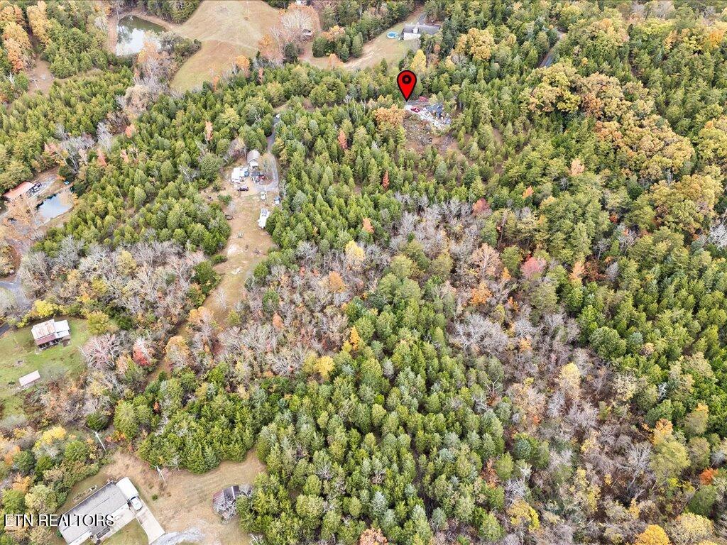 359 Buzzard Roost Road Bulls Gap, TN 37711 - Photo 7 of 30 359 Buzzard Roost Rd - 8