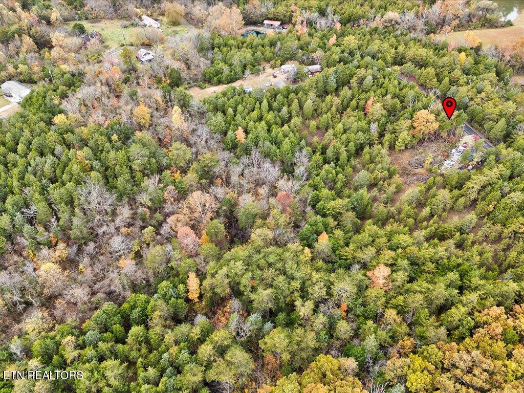 359 Buzzard Roost Road Bulls Gap, TN 37711 - Photo 9 of 30 359 Buzzard Roost Rd - 10