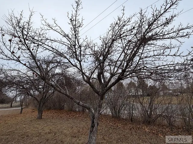 $625,000 | 1077 East 1300 North, Shelley, ID 83274