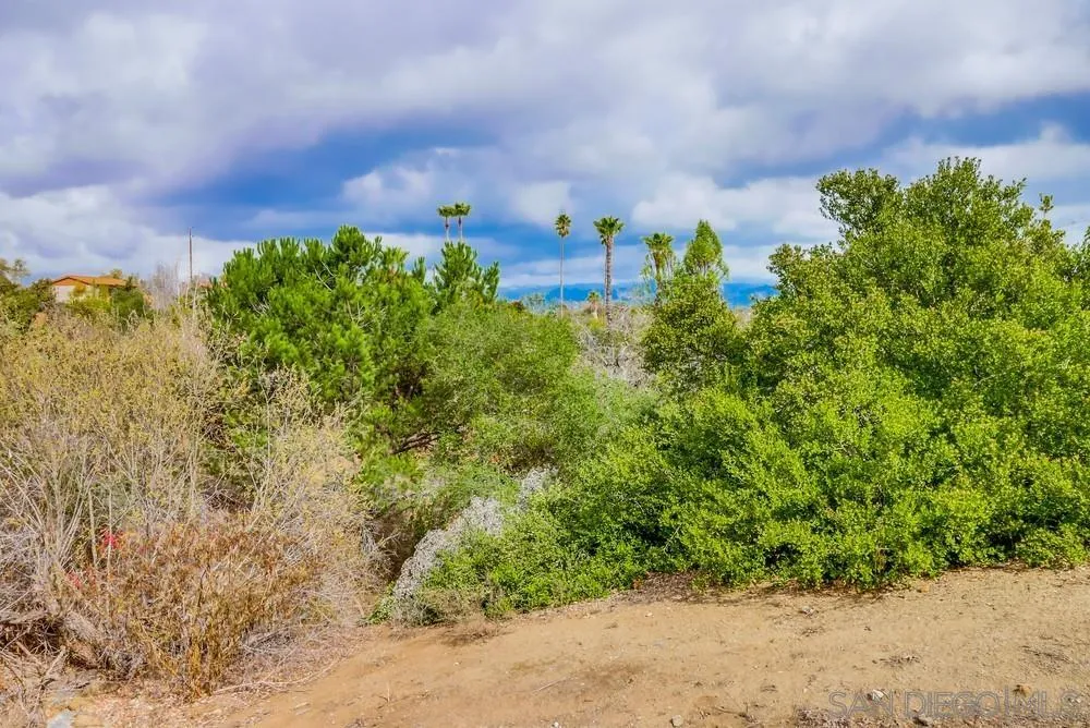 1152 Via Conejo Escondido, CA 92029 - Photo 75 of 75