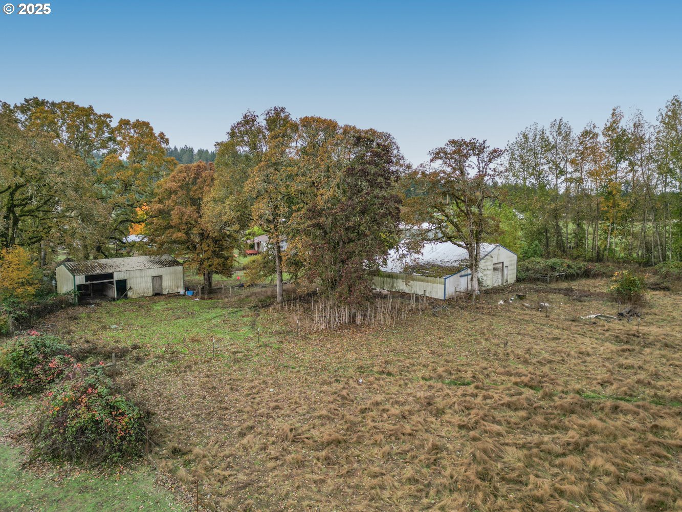 19807 Highway 211 Colton, OR 97017 - Photo 19 of 22 a backyard of a house with table and chairs