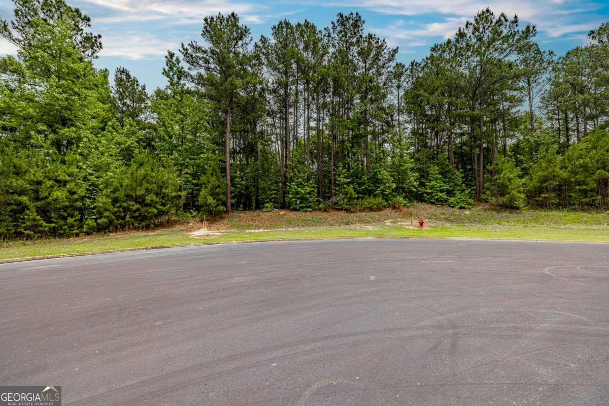 1360 Sailview Drive Buckhead, GA 30625 - Photo 8 of 37
