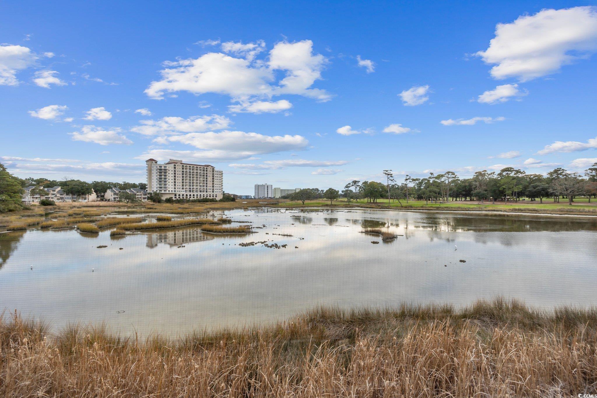 501 Maison Drive, Unit F12 Myrtle Beach, SC 29572 - Photo 34 of 39