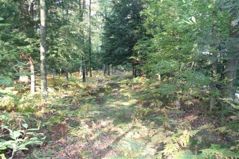 1864 East Preuss Road Manistee, MI 49660 - Photo 8 of 20 Additional Photo