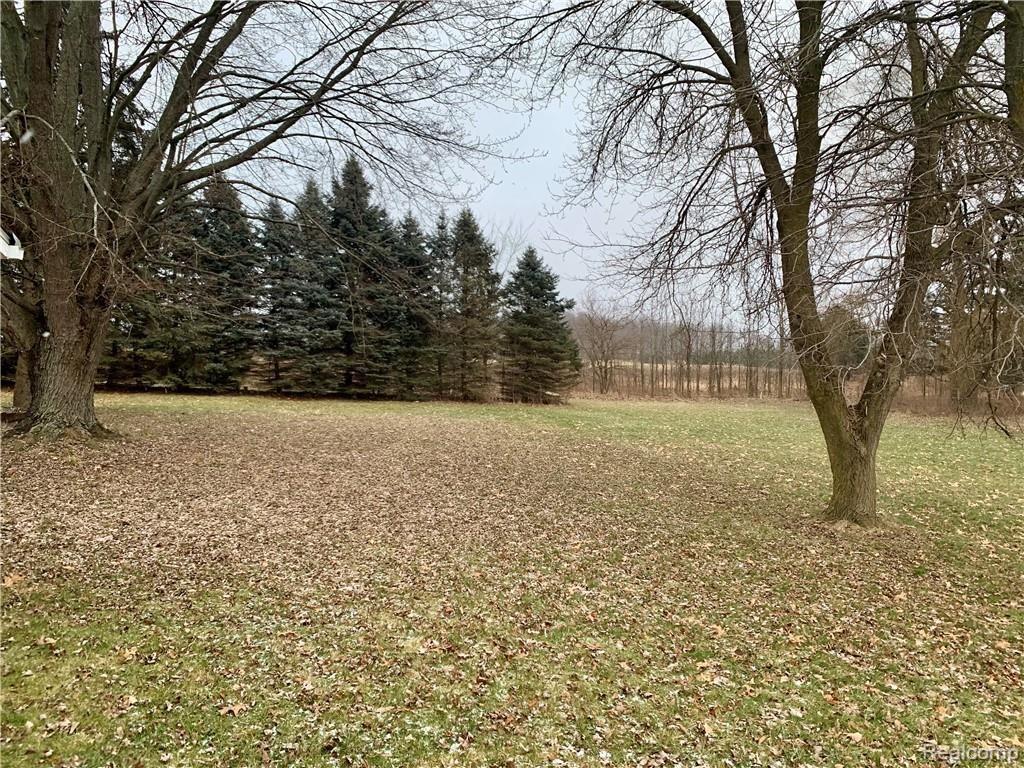 13123 Pierce Road Byron, MI 48418 - Photo 7 of 7 IMG_3408.jpg