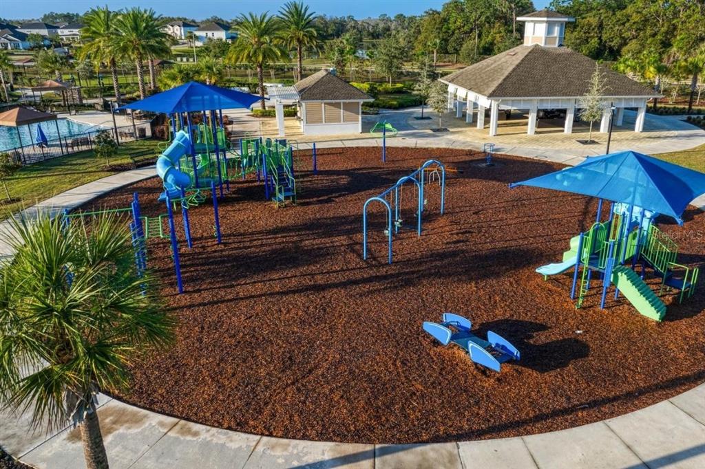 32502 Limitless Place Wesley Chapel, FL 33545 - Photo 64 of 67