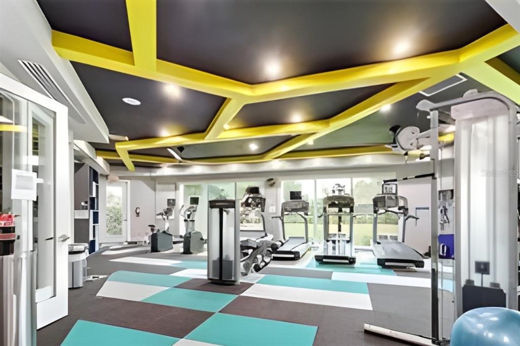32502 Limitless Place Wesley Chapel, FL 33545 - Photo 66 of 67 a view of a room with gym equipment