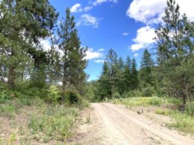 T T Buffy Lane Inchelium, WA 99138 - Photo 12 of 13