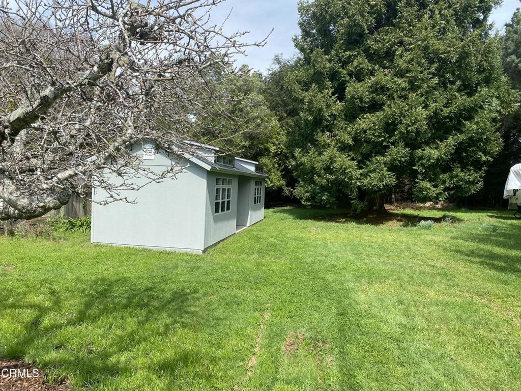 31400 Sherwood Road Fort Bragg, CA 95437 - Photo 47 of 55 a view of a backyard with large trees