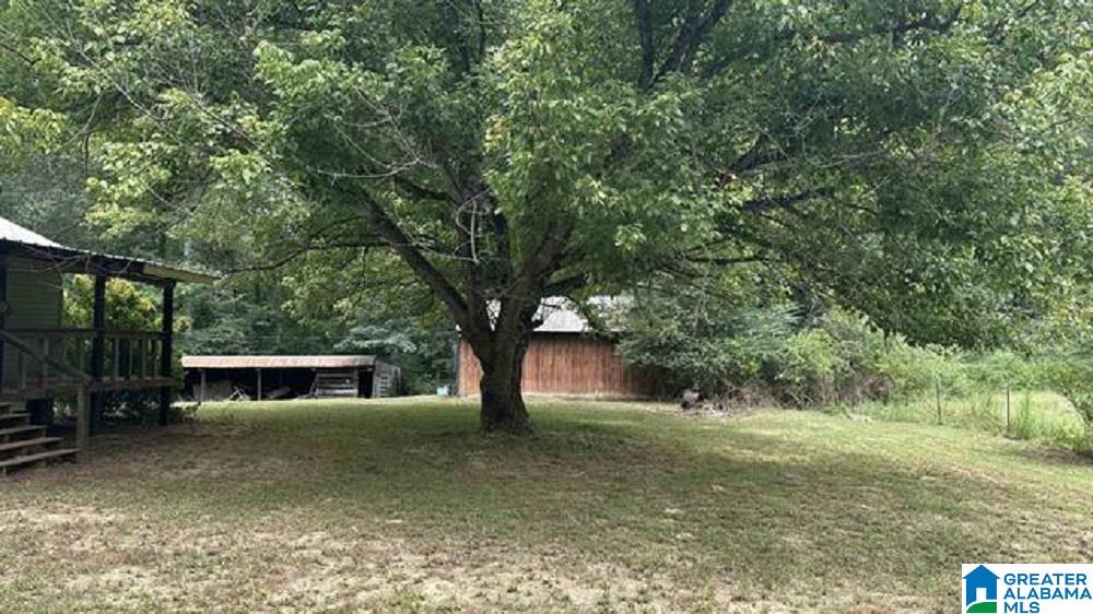 395 County Road 830 Logan, AL 35098 - Photo 9 of 25