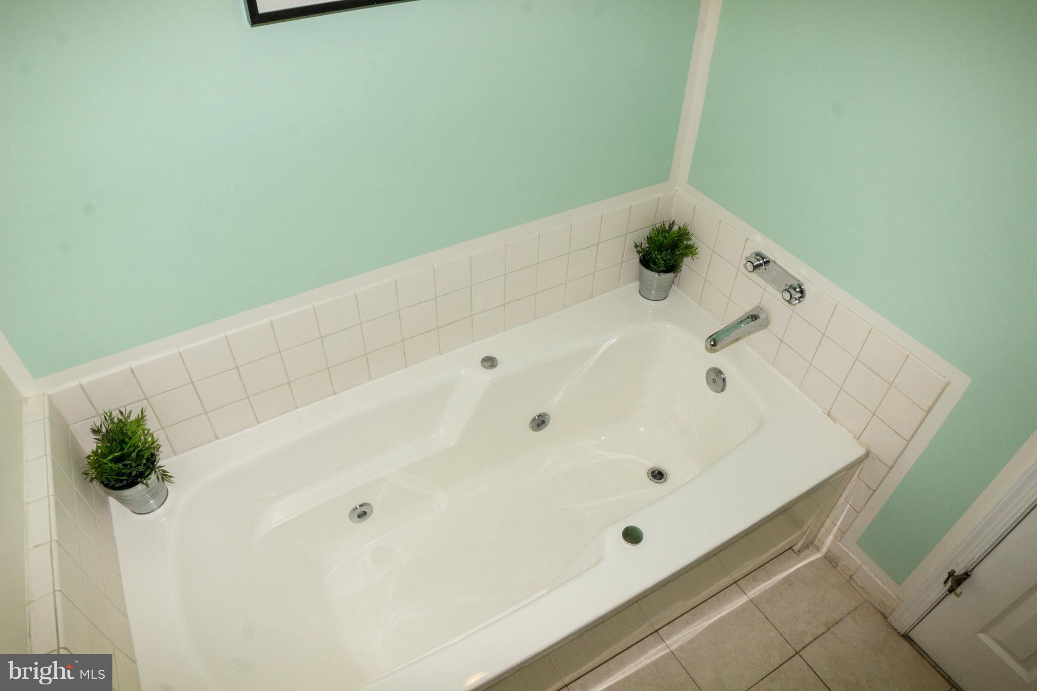 325 Pleasanton Road, Unit B22 Westminster, MD 21157 - Photo 16 of 26 The master bath has a jetted tub!