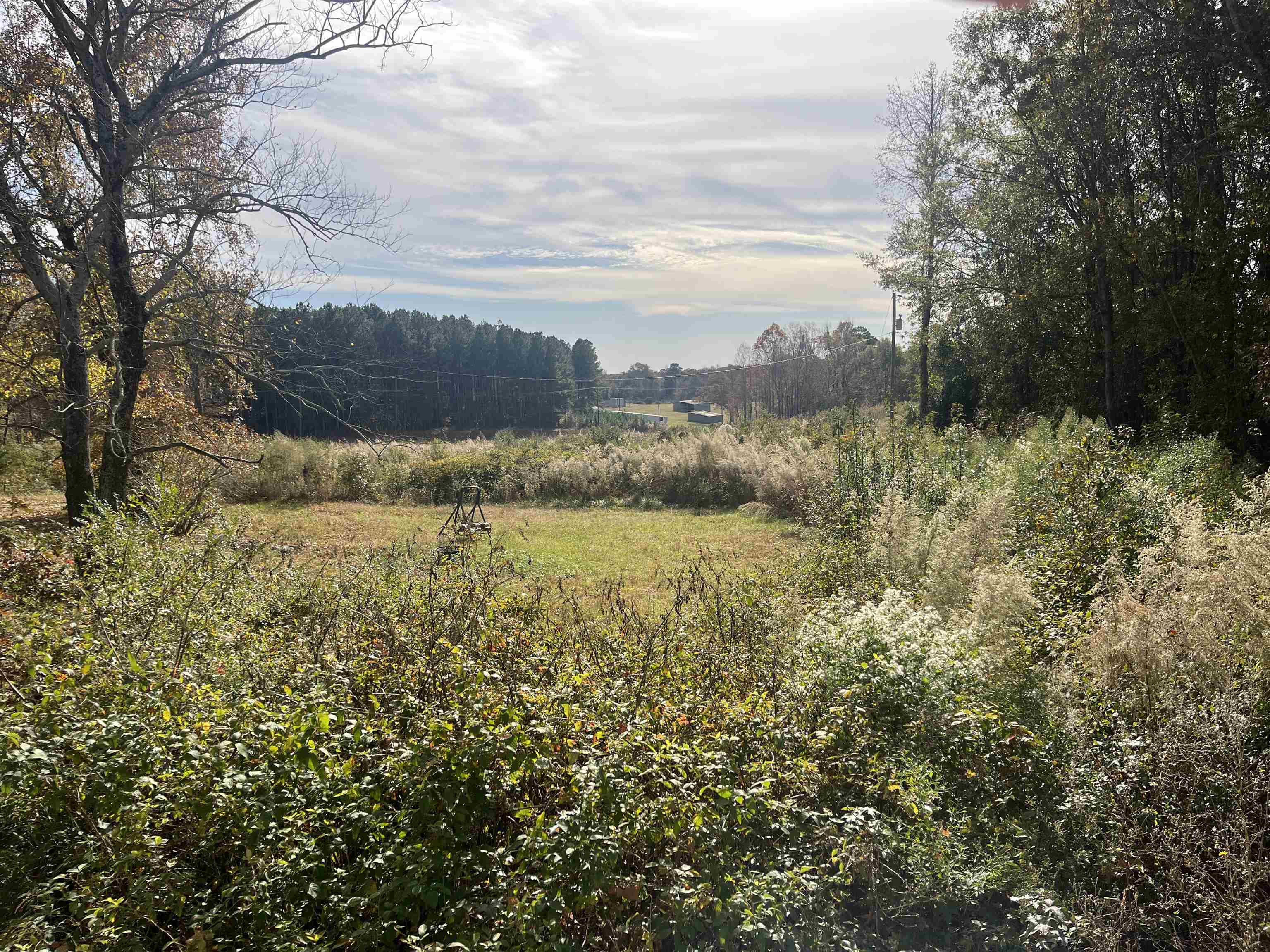 201 State Rd S-42-653 Duncan, SC 29334 - Photo 3 of 6