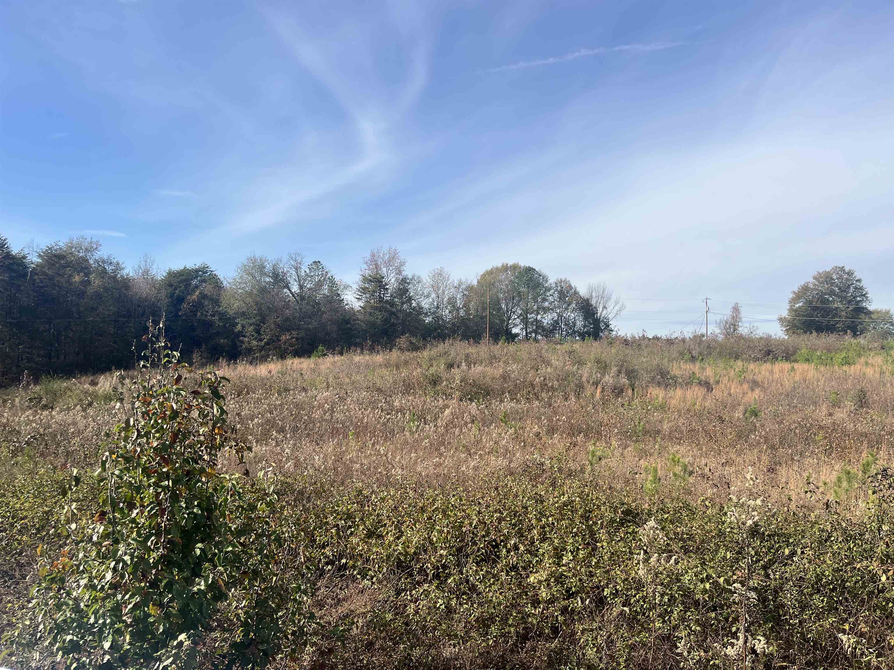 201 State Rd S-42-653 Duncan, SC 29334 - Photo 4 of 6