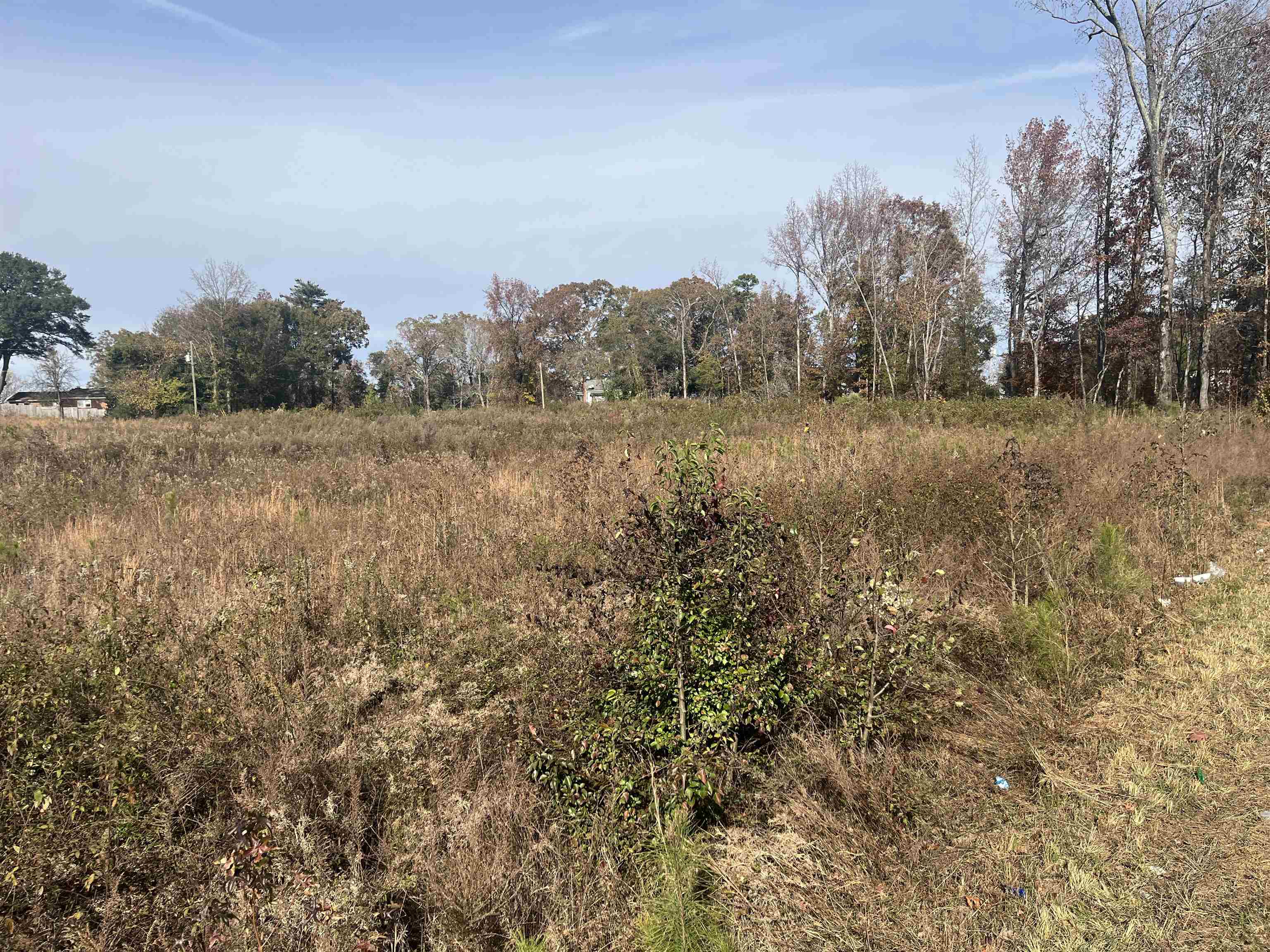 201 State Rd S-42-653 Duncan, SC 29334 - Photo 5 of 6