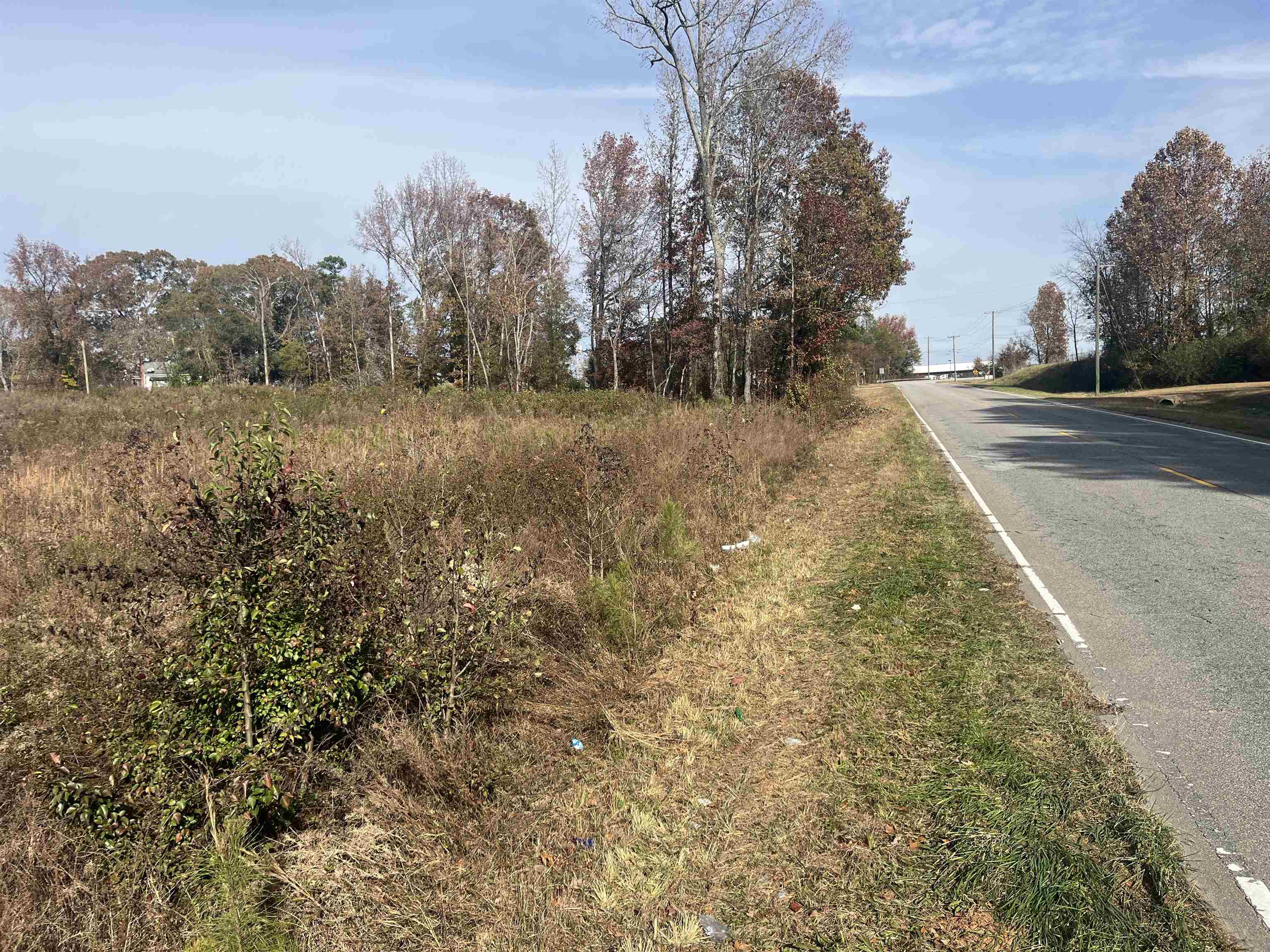 201 State Rd S-42-653 Duncan, SC 29334 - Photo 6 of 6