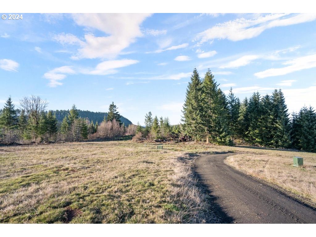 52301 Northwest Hayward Road Manning, OR 97125 - Photo 10 of 36 Gallery Image 10