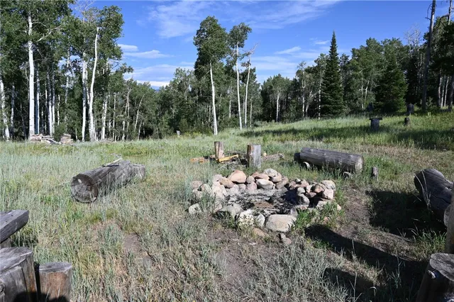 a view of a garden with a tree in the background