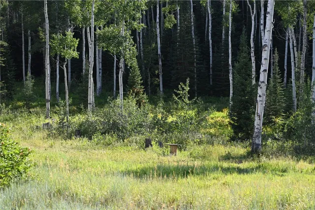 a view of backyard with green space