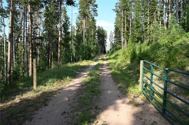 a view of a pathway with a yard