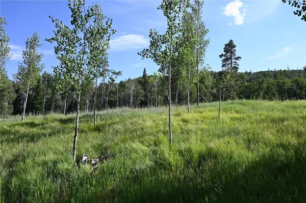 a view of a garden