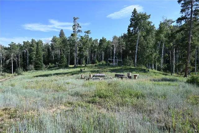 a view of outdoor space with trees all around