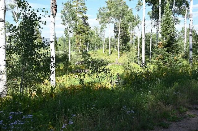 a view of outdoor space yard and lots of green space