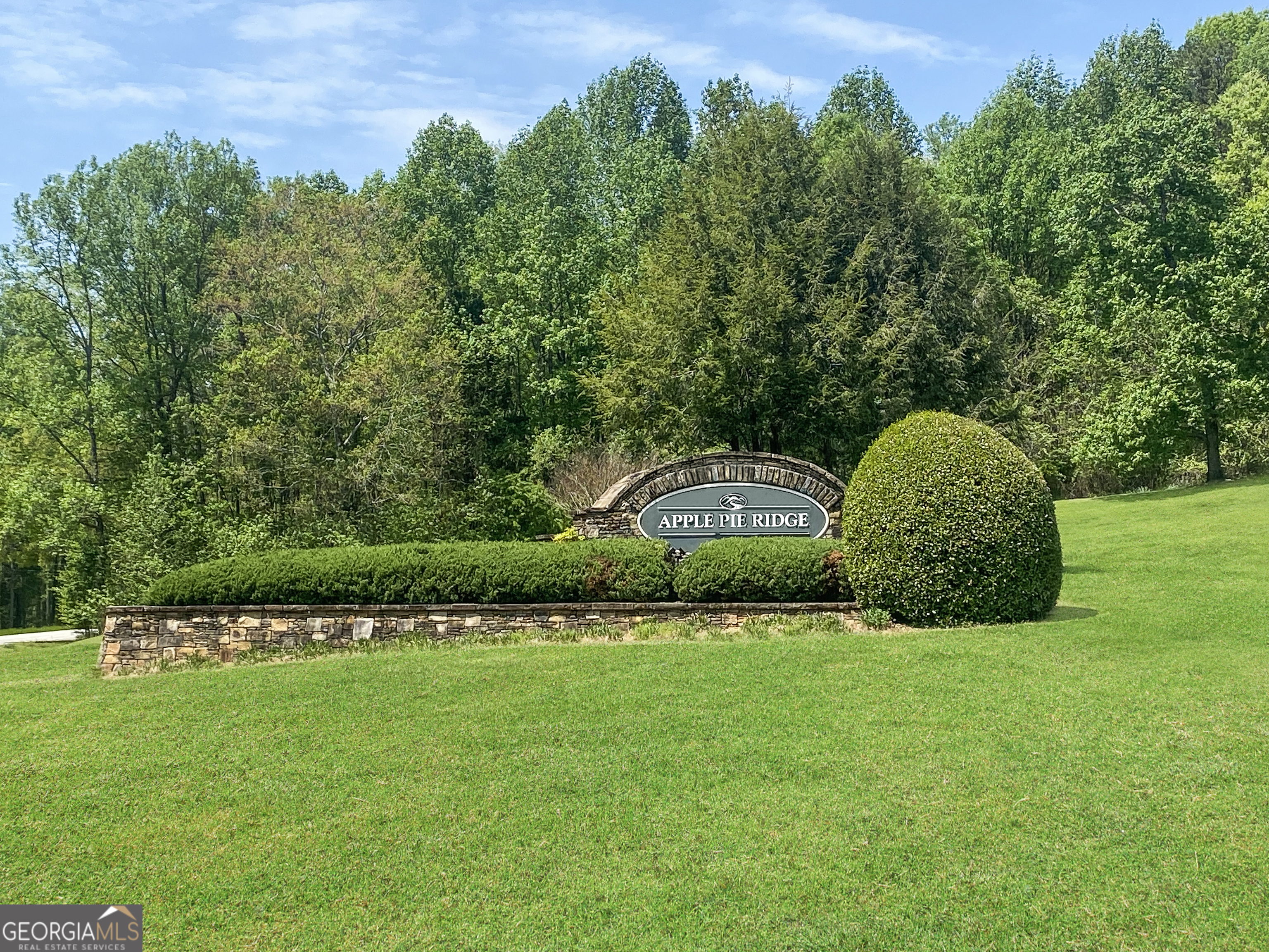 133 Lakeview Walk Baldwin, GA 30511 - Photo 2 of 11 a view of a green field