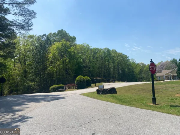 a view of a park with large trees