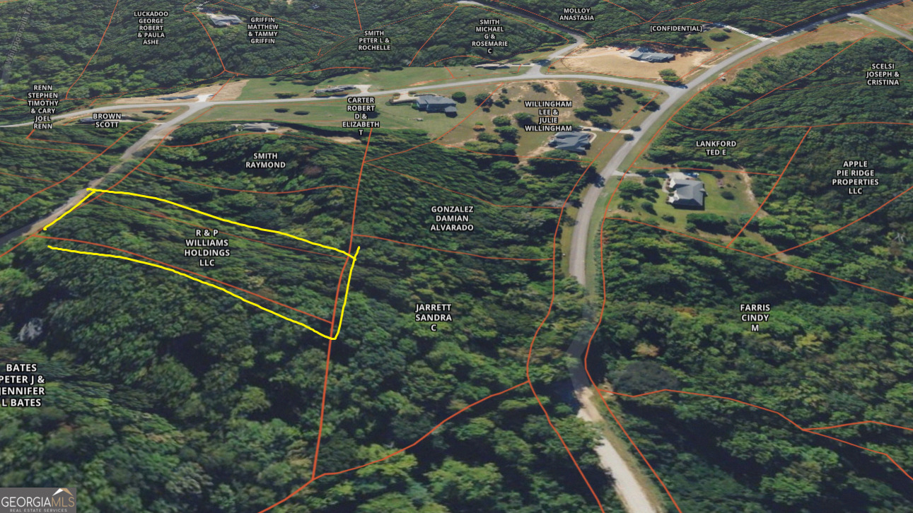 133 Lakeview Walk Baldwin, GA 30511 - Photo 6 of 11 a view of a backyard