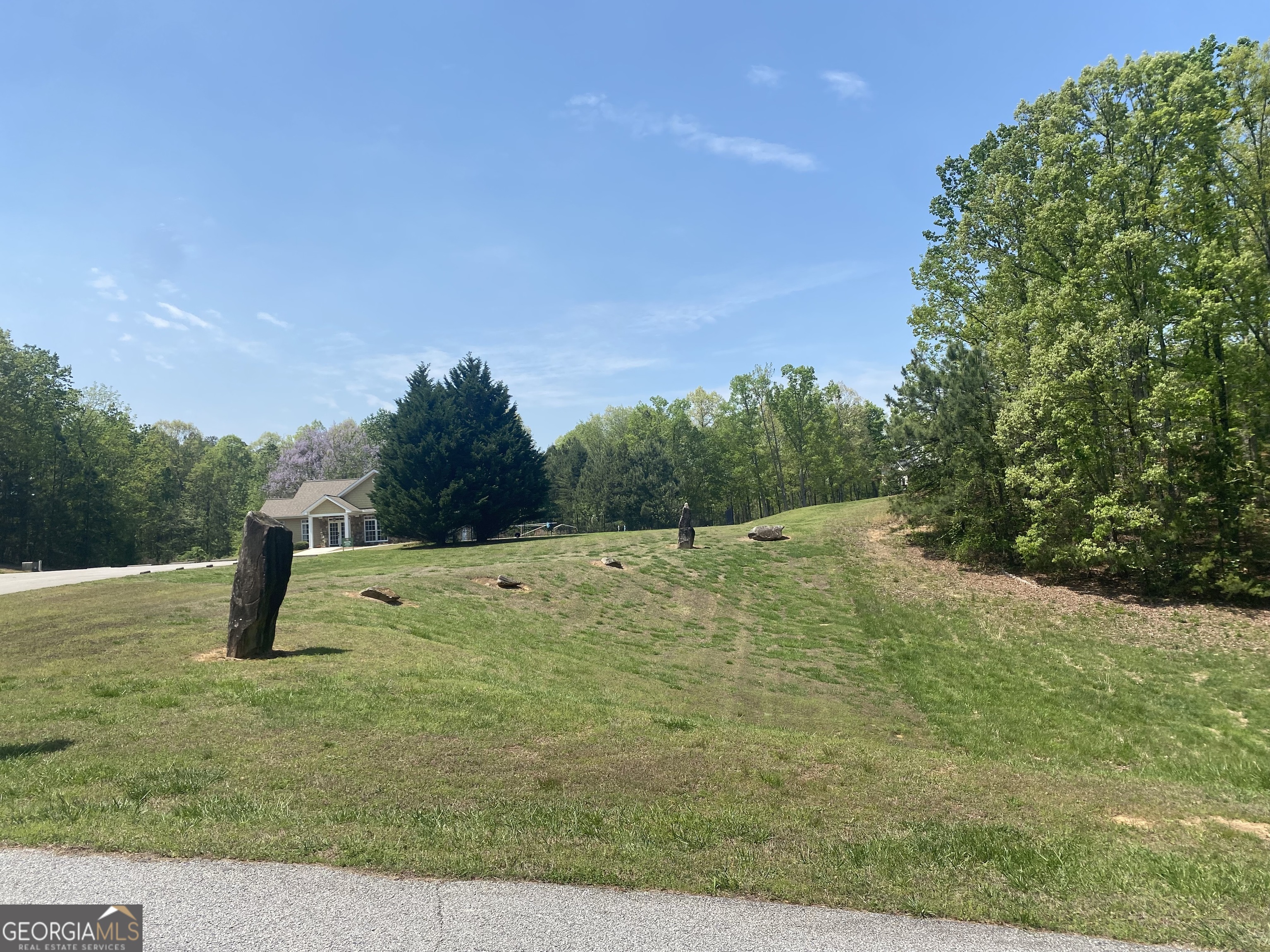 133 Lakeview Walk Baldwin, GA 30511 - Photo 10 of 11 a view of a outdoor space