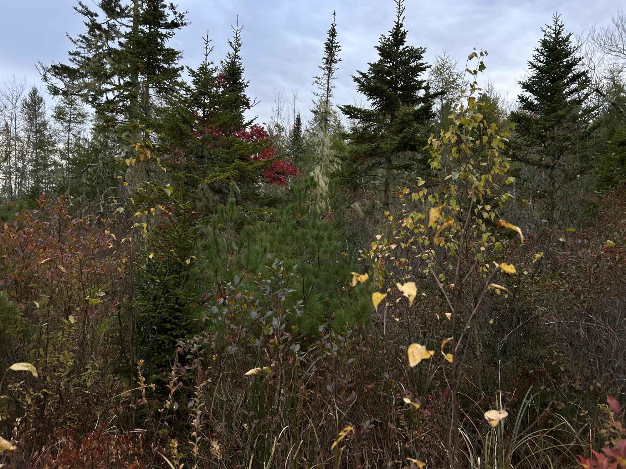 401 Genthner Road Waldoboro, ME 04572 - Photo 22 of 35