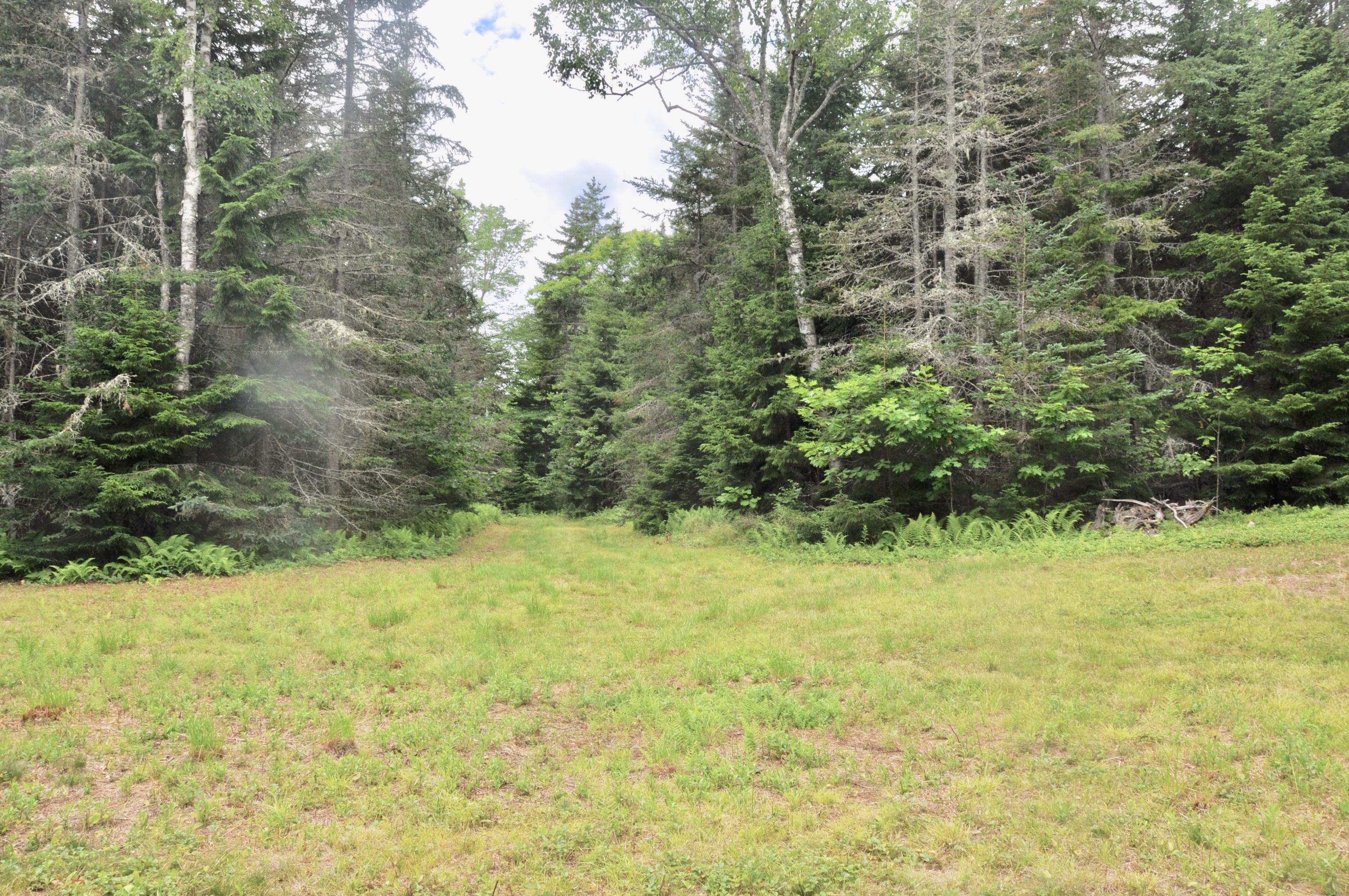 0 Drebelbis Point Road Pemaquid, ME 04558 - Photo 9 of 9 fullsizeoutput_69b