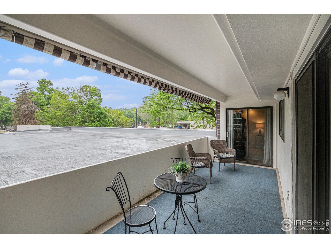 415 South Howes Street North, Unit 202 Fort Collins, CO 80521 - Photo 17 of 21 a living room with furniture and a potted plant
