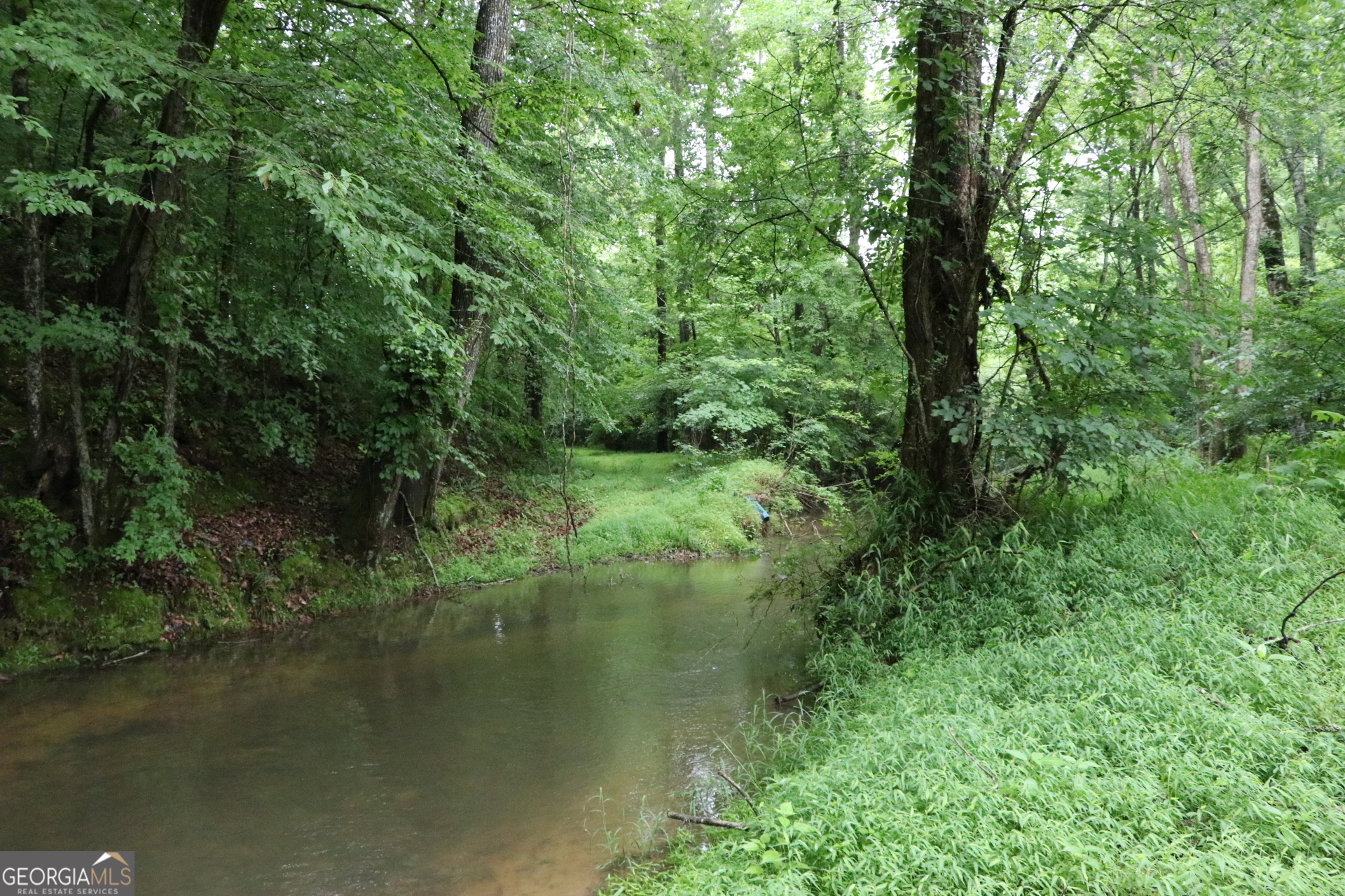 833 Neal Gap Road Summerville, GA 30747 - Photo 39 of 86