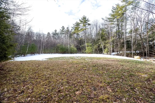 a view of water covered with trees