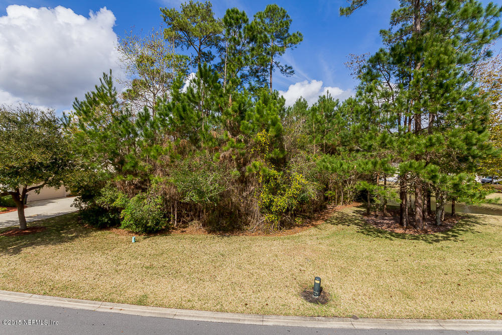 1112 Sandlake Road St. Augustine, FL 32092 - Photo 11 of 16 a view of a yard with plants and trees