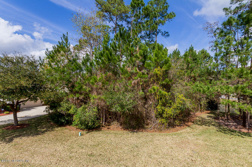 1112 Sandlake Road St. Augustine, FL 32092 - Photo 16 of 16 a view of a plants with a tree