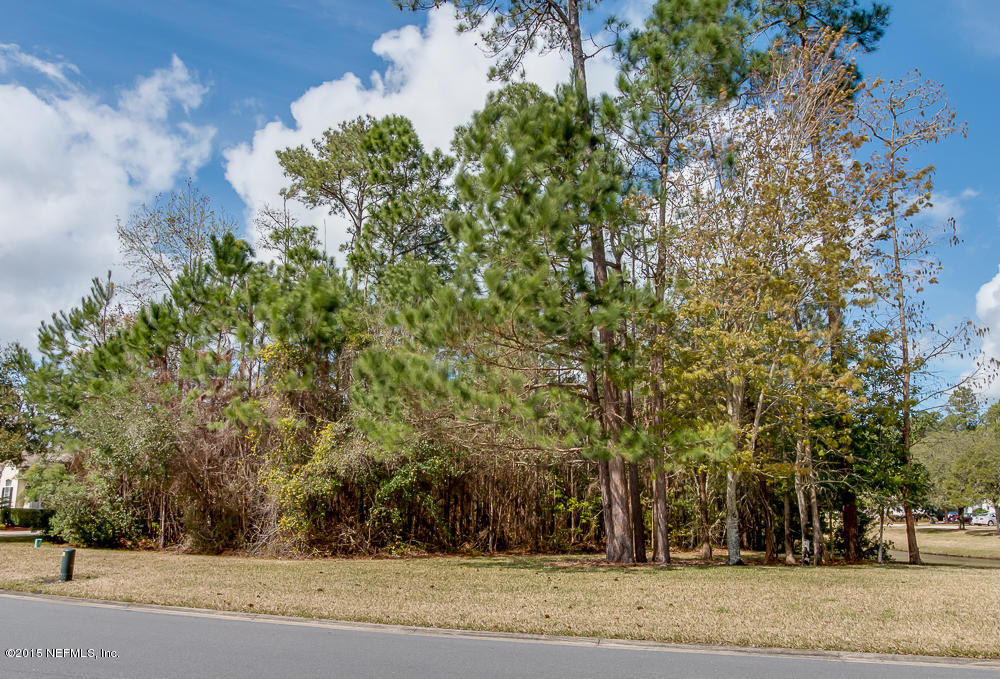1112 Sandlake Road St. Augustine, FL 32092 - Photo 7 of 16 a view of a yard with a trees